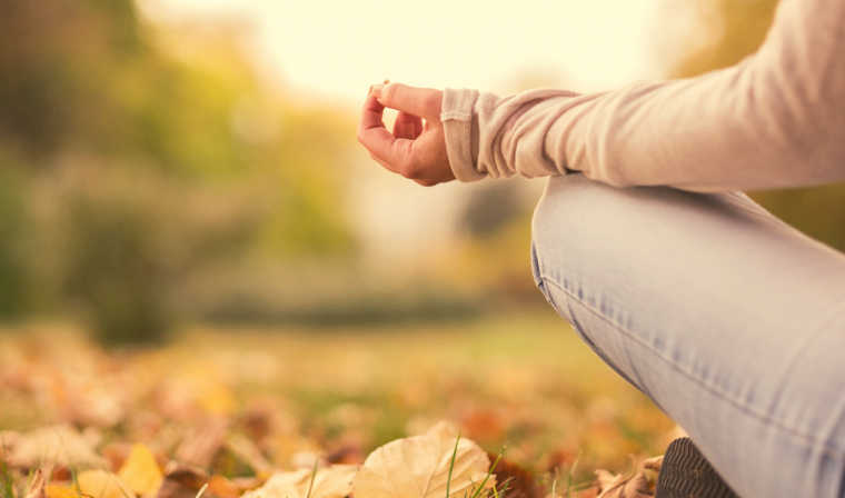 Jesień 2022 w MyMeditation Space Centrum Osho